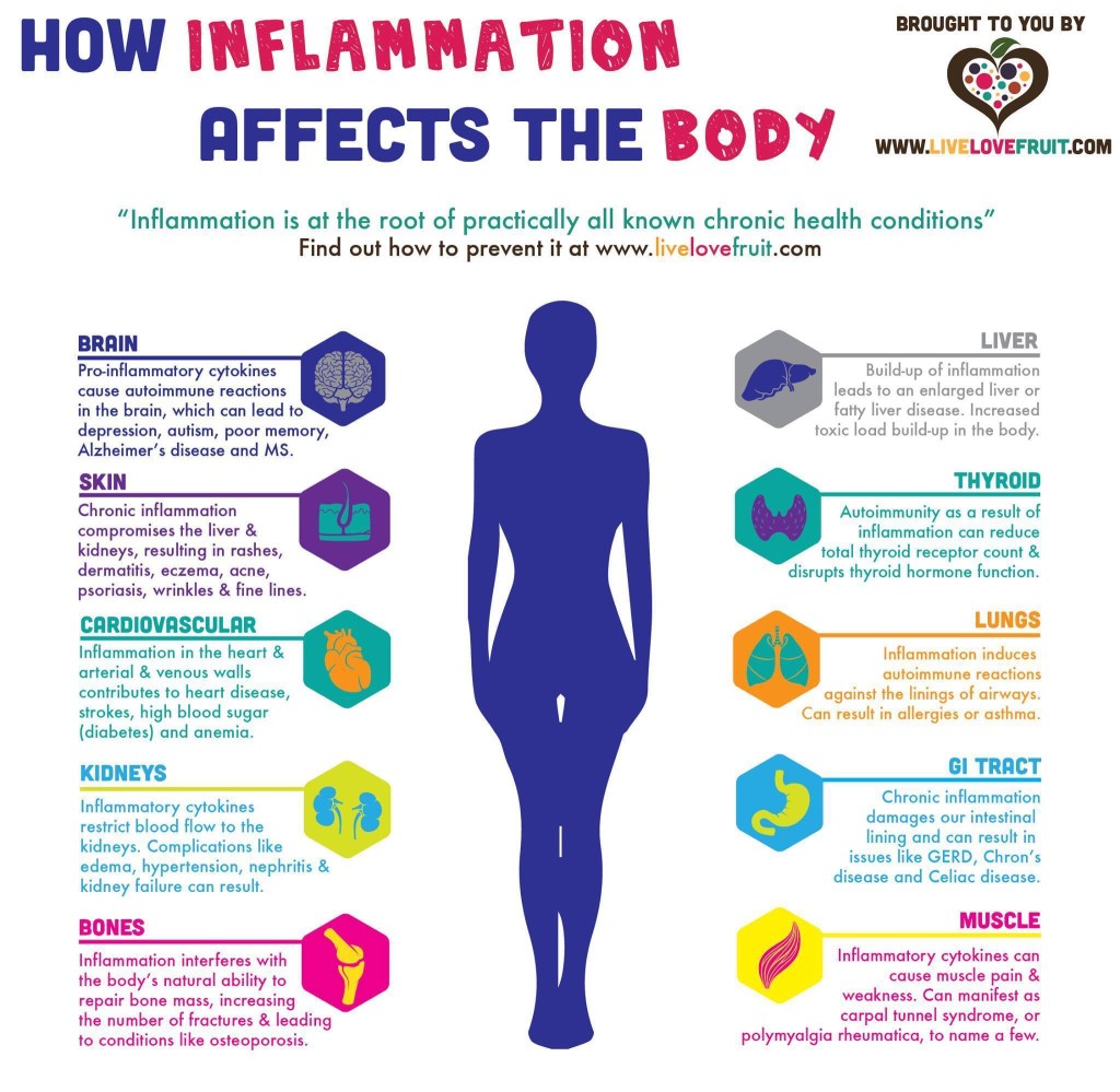 Inflammation and the Human Body