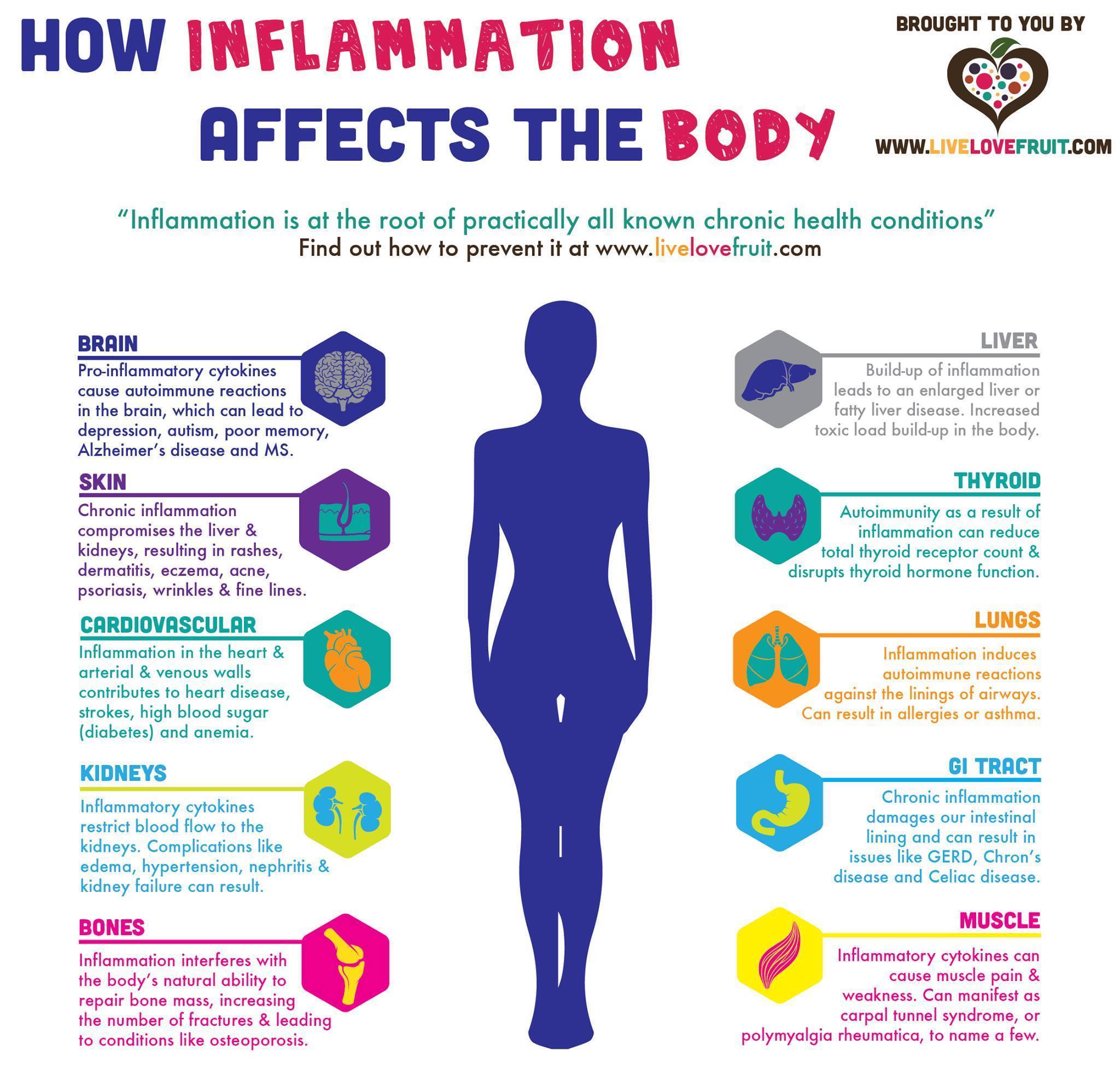 Inflammation and the Human Body